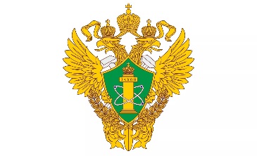 С 27 февраля 2019 года при проведении проверок госэнергонадзора могут проверяться соблюдение требований охраны труда