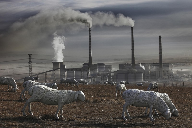 Химическое загрязнение окружающей среды